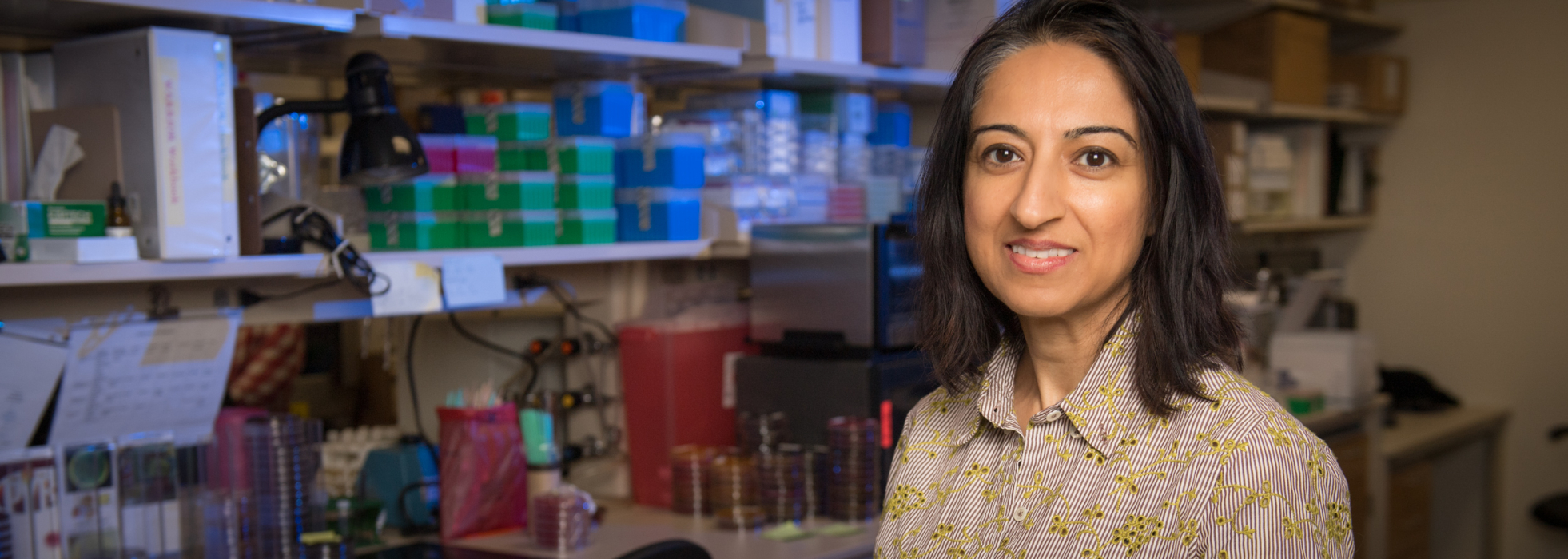 Dr. Nasia Safdar in her lab with shelves behind her