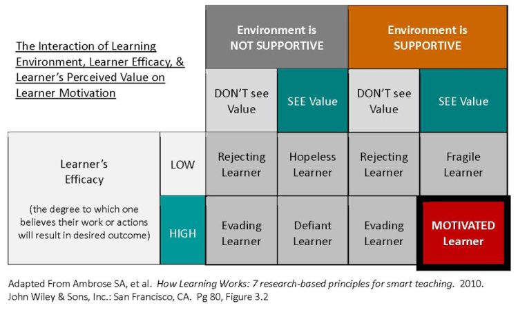 The interaction of learning environment, learner efficiency, & learner's perceived value on learner motivation