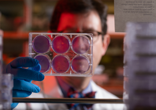 Dr. Cryns in his lab.