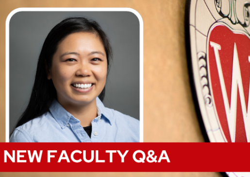 A professional headshot of Dr. Fena over a tan background with a Wisconsin crest, and white text on a red bar saying "New Faculty Q&A".